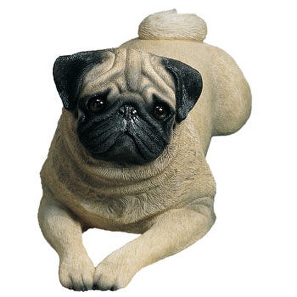 Pug Fawn Laying Down Dog Sculpture Life-Size